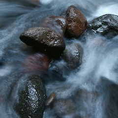 존재(Being)의 두 번째 단계: '허용의 법칙' 썸네일