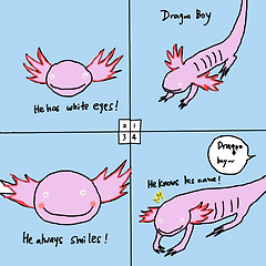 Dragon boy 썸네일