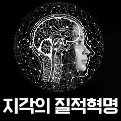 지각의 질적혁명