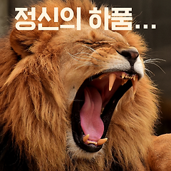 정신의 하품...