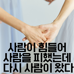 사람이 힘들어 사람을 피했는데 다시 사람이 왔다