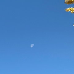 눈코 뜰 새 없이 찾아온 겨울 썸네일