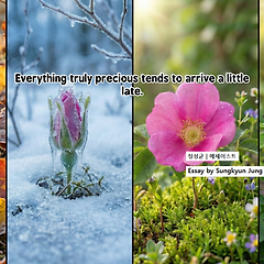 모든 소중한 것은 조금 늦게 도착한다 썸네일