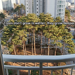 나무는 겨울에 자라지 않는다, 다만 깊어진다 썸네일