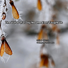 아무도 가르쳐주지 않은 하루의 가치 썸네일