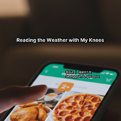 무릎으로 읽는 날씨 썸네일