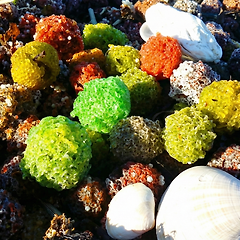 겨울 바다의 소우주, 그리고 영애의 질문 썸네일