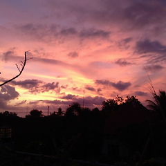 이불속에서 작은 세상을 생각하다  썸네일
