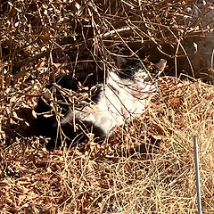 산에는 나비 썸네일