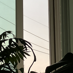 달리는 딸배 썸네일