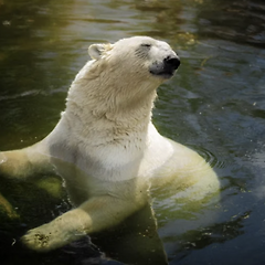 콘텐츠 관련 직무 '트릭키 퀘스천' 미리 대비 (2) 썸네일