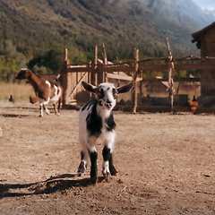 모두를 사랑하는 건 아무도 사랑하지 않는 것 썸네일