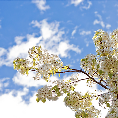 평온한 일상 속의 휴식의 향기 썸네일
