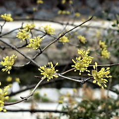 북적이는 주말 나들이, 나만의 안전 지대를 여는 향기 썸네일
