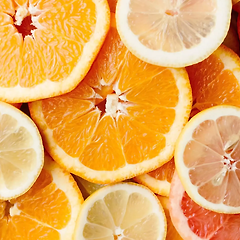 중심을 잡는 土 무르익는 포용 썸네일