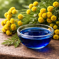 블루 탄지 역사와 어원 썸네일