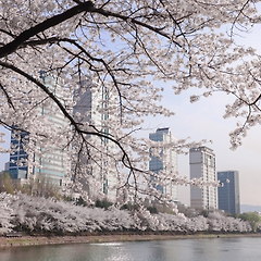 4월의 첫날, 생기를 채우는 수요일의 향기 썸네일