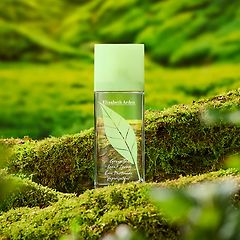 그린티 향조의 어원과 역사 썸네일