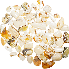 화이트 앰버의 역사와 어원 썸네일