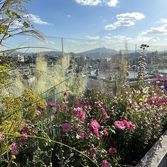 GardenMaking-카펠라 어퍼하우스 한남2편 썸네일