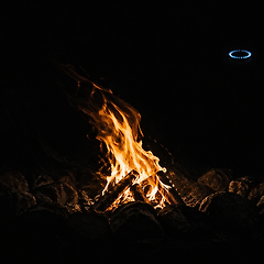 불을 원하면서 불이 아니길 바랐다 썸네일