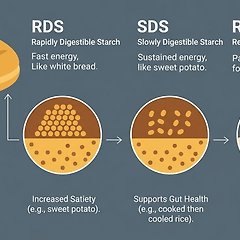 전분소화속도 조절과 혈당속도 관리 썸네일