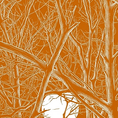 원림(園林)의 해돋이 썸네일