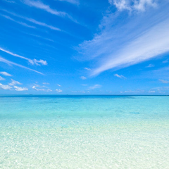 똑똑한 인공지능 썸네일