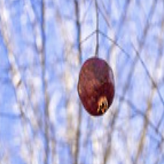 [초등학교에 다시 입학하다] 썸네일