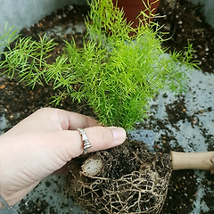 겨울을 보낸 사람들(1) 썸네일