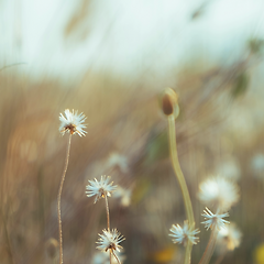 답답함이 길이 될 수 있을까? 썸네일