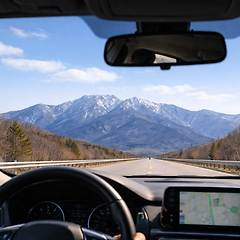 우아함의 분주함 썸네일