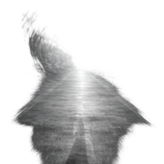 8/8/8 24시간 디자인하기 ➊ 썸네일