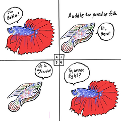 Buddle the Paradise Fish 썸네일