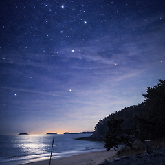 침묵질서 썸네일