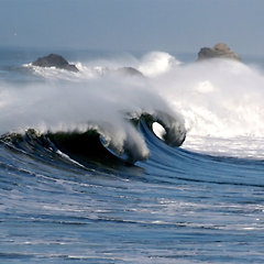 파도 그리고 부산 갈매기 썸네일