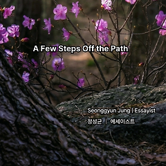 몇 걸음 옆으로 비켜선 자리에서 썸네일