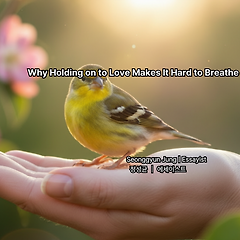 우리는 왜 사랑을 쥐려다 숨 막히게 하는가 썸네일