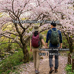 시차의 미학 썸네일