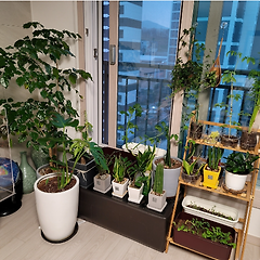 2화. 멈춰버린 시간, 아이는 방 안에 있었다 썸네일