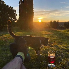 이탈리아 발 도르차 - 아침에는 고양이 밤에는 여우  썸네일