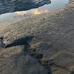 신성한 현존 썸네일