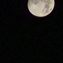 인간이 살아가는데 필요한 종합적인 쾌적함 썸네일