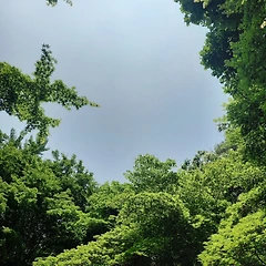 멈출 수가 없어요 썸네일