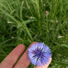 안에서 일어나는 일 썸네일