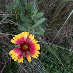 고요한 혼자 썸네일