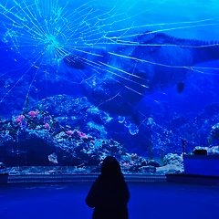 가까운 관계일수록 멀리서 쓰기 썸네일