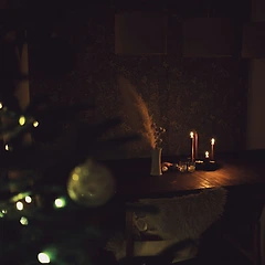 낭만적이고 사랑스러운 노고 썸네일