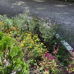 나보다 나의 취향을 더 잘 아는 썸네일