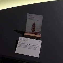 내일이 오늘보다 못할 수도 있다 썸네일